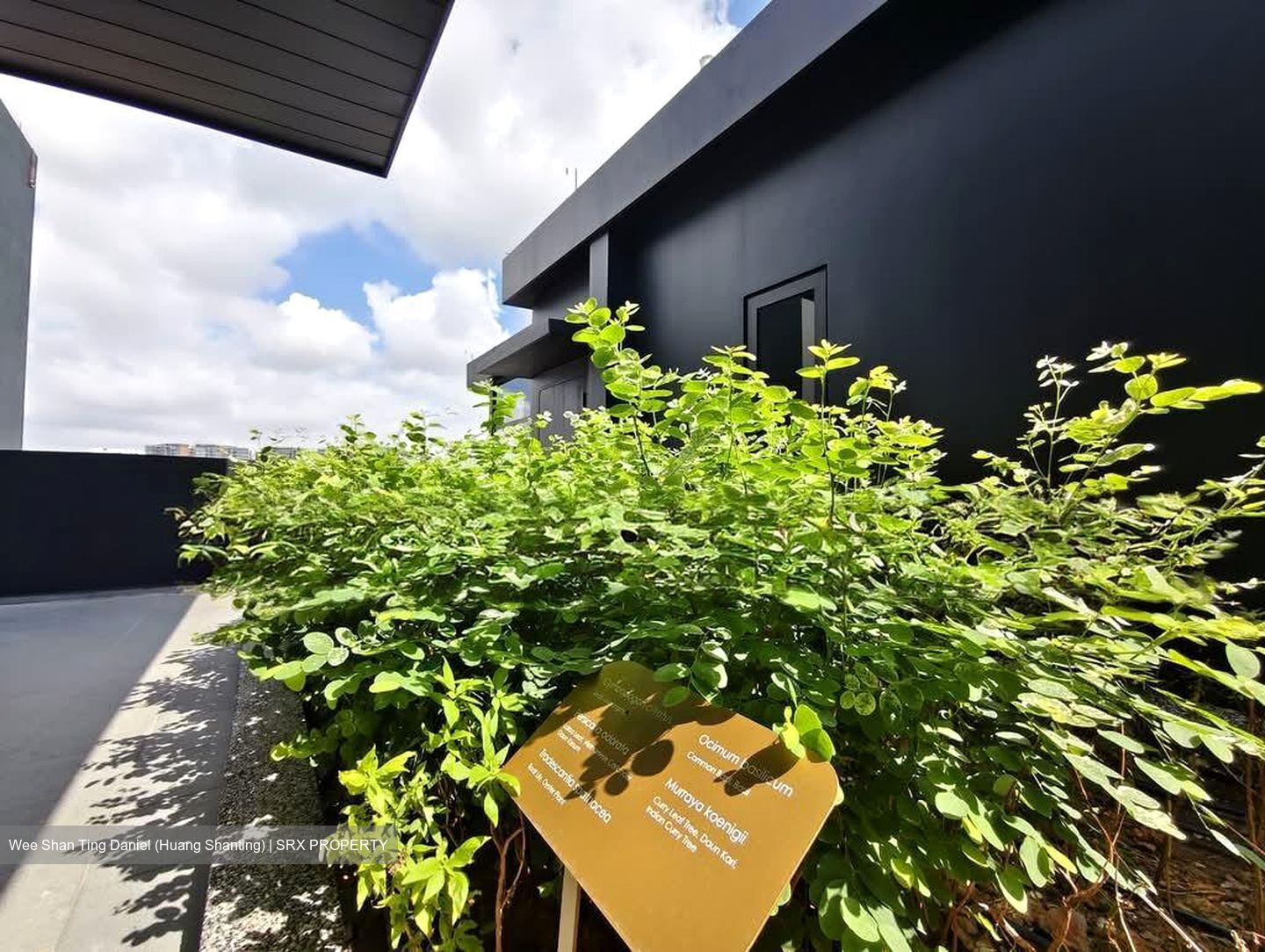 Claydence (D15), Apartment #572259271